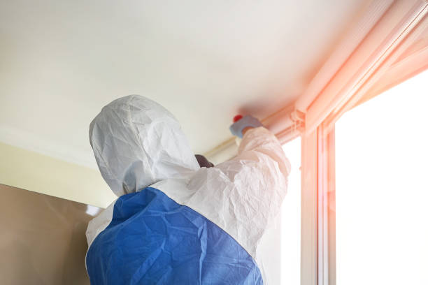 Best Asbestos and Lead Testing During Mold Inspection  in North Little Rock, AR